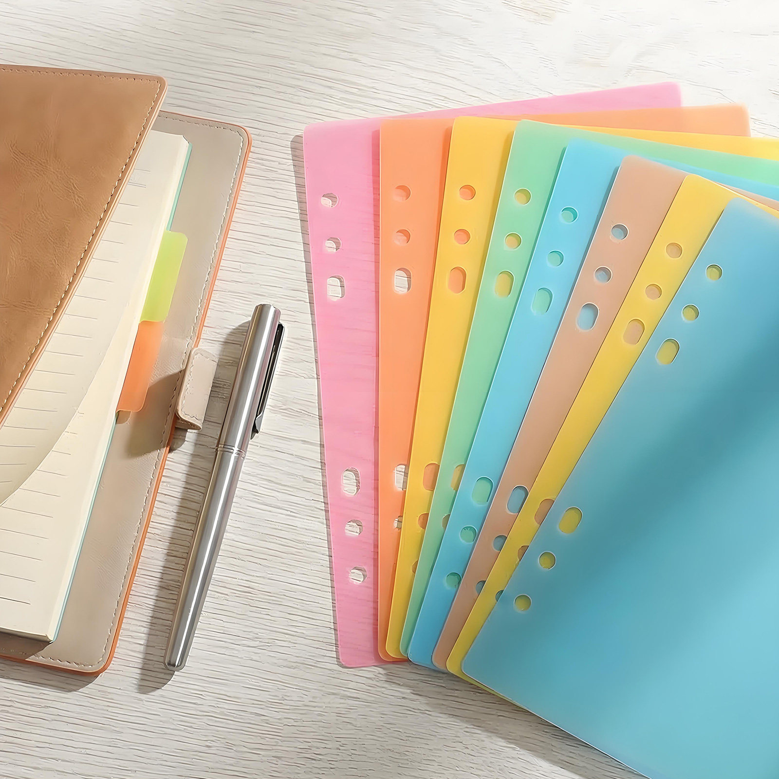 Index Tab Divider - 10 Stück Bunte Kunststoff-Trennblätter Register-Etiketten für