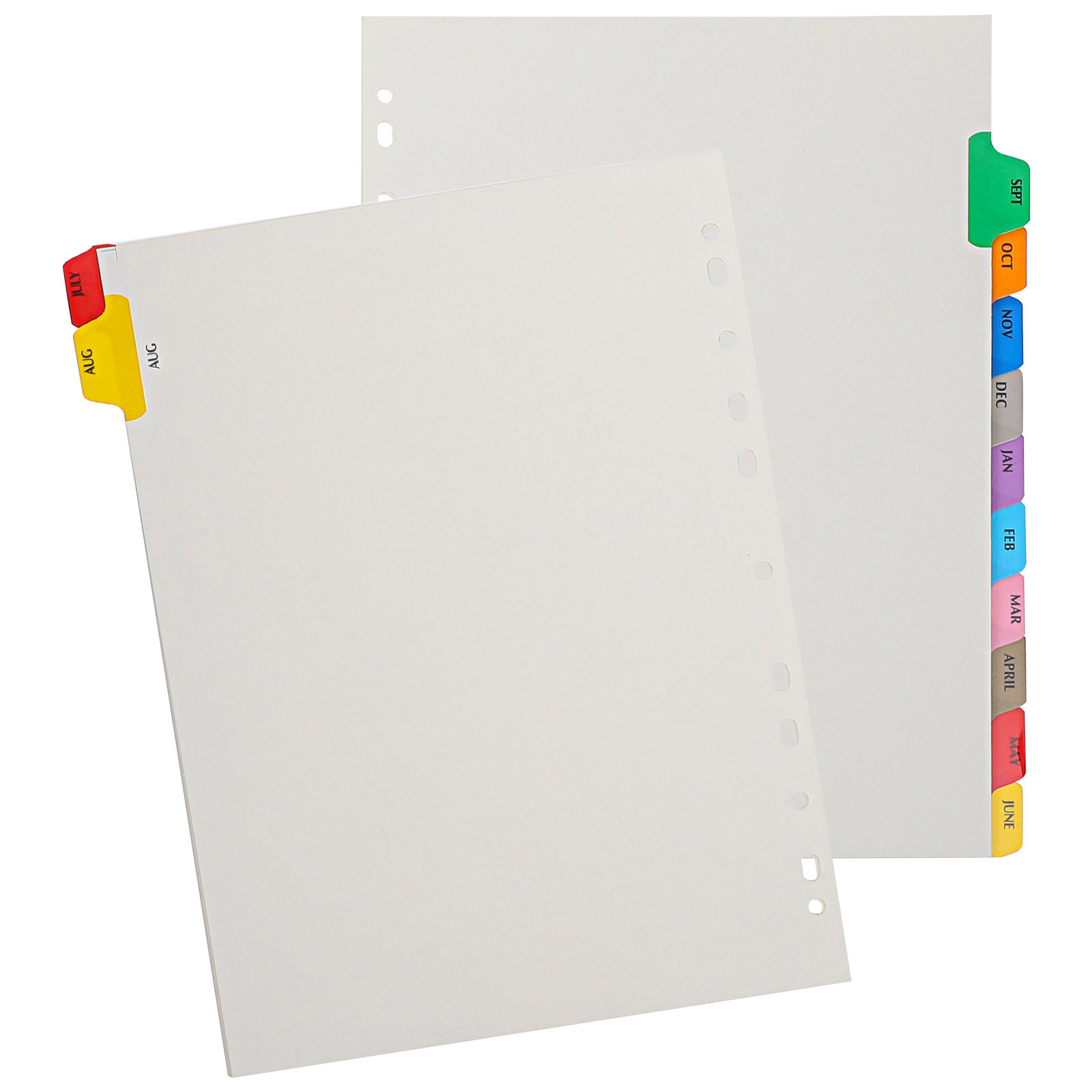 12 Blatt Register-Trennblätter – Index Tab Divider Bewertung und Preis